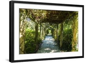 An Arbored Pathway-Alan Hausenflock-Framed Photographic Print