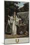 An Arch Druid in His Judicial Habit-Robert Havell-Mounted Giclee Print