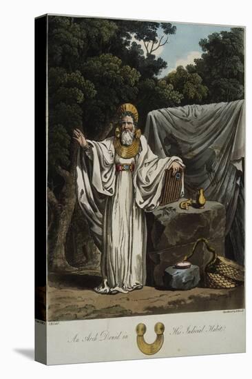 An Arch Druid in His Judicial Habit-Robert Havell-Stretched Canvas