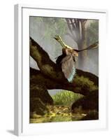 An Archaeopteryx On a Log Above a Stream-Stocktrek Images-Framed Photographic Print