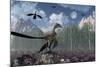 An Archaeopteryx Standing at the Edge of a Forest-Stocktrek Images-Mounted Art Print