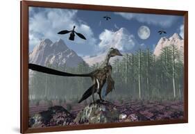 An Archaeopteryx Standing at the Edge of a Forest-Stocktrek Images-Framed Art Print