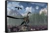 An Archaeopteryx Standing at the Edge of a Forest-Stocktrek Images-Framed Stretched Canvas