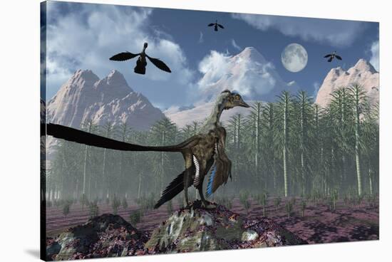 An Archaeopteryx Standing at the Edge of a Forest-Stocktrek Images-Stretched Canvas