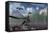 An Archaeopteryx Standing at the Edge of a Forest-Stocktrek Images-Framed Stretched Canvas