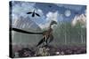 An Archaeopteryx Standing at the Edge of a Forest-Stocktrek Images-Stretched Canvas