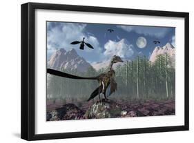 An Archaeopteryx Standing at the Edge of a Forest-Stocktrek Images-Framed Premium Giclee Print