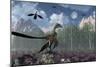 An Archaeopteryx Standing at the Edge of a Forest-Stocktrek Images-Mounted Premium Giclee Print