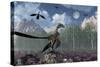 An Archaeopteryx Standing at the Edge of a Forest-Stocktrek Images-Stretched Canvas