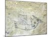 An archaic Maori rock drawing-null-Mounted Giclee Print