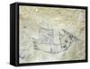 An archaic Maori rock drawing-null-Framed Stretched Canvas