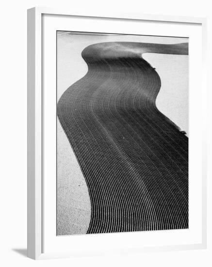 An Ariel Picture from the Dust Bowl,With Deep Furrows Made by Farmers to Counteract Wind-Margaret Bourke-White-Framed Photographic Print