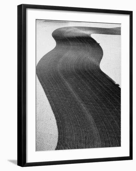 An Ariel Picture from the Dust Bowl,With Deep Furrows Made by Farmers to Counteract Wind-Margaret Bourke-White-Framed Photographic Print