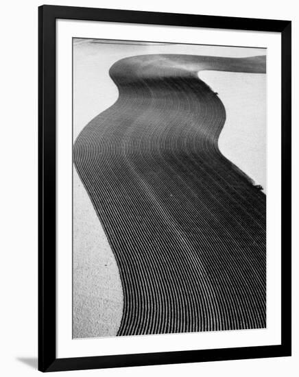 An Ariel Picture from the Dust Bowl,With Deep Furrows Made by Farmers to Counteract Wind-Margaret Bourke-White-Framed Photographic Print