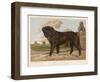 An Aristocratic Mastiff in the Grounds of a Stately Home-null-Framed Art Print