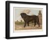 An Aristocratic Mastiff in the Grounds of a Stately Home-null-Framed Art Print