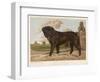 An Aristocratic Mastiff in the Grounds of a Stately Home-null-Framed Art Print