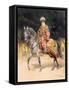 An Armed Warrior Mounted on a Turkoman Horse: Harness Etc, a Folio from Oriental Arms and Armour,…-null-Framed Stretched Canvas