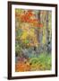 An Array of Fall Color, Maine Coast, New England-Vincent James-Framed Photographic Print