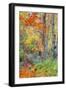 An Array of Fall Color, Maine Coast, New England-Vincent James-Framed Photographic Print