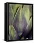 An Artichoke-Herbert Lehmann-Framed Stretched Canvas