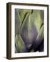 An Artichoke-Herbert Lehmann-Framed Photographic Print