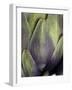 An Artichoke-Herbert Lehmann-Framed Photographic Print