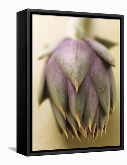 An Artichoke-Eising Studio - Food Photo and Video-Framed Stretched Canvas