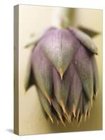 An Artichoke-Eising Studio - Food Photo and Video-Stretched Canvas