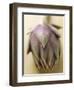 An Artichoke-Eising Studio - Food Photo and Video-Framed Photographic Print