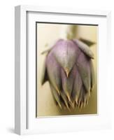 An Artichoke-Eising Studio - Food Photo and Video-Framed Photographic Print