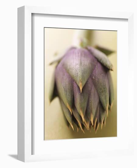 An Artichoke-Eising Studio - Food Photo and Video-Framed Photographic Print