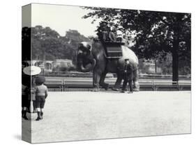 An Asian Elephant Being Ridden by Two Ladies and a Young Girl-Frederick William Bond-Stretched Canvas