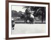 An Asian Elephant Being Ridden by Two Ladies and a Young Girl-Frederick William Bond-Framed Photographic Print