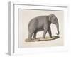 An Asian Elephant-null-Framed Giclee Print