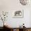 An Asian Elephant-null-Stretched Canvas displayed on a wall