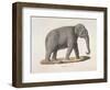 An Asian Elephant-null-Framed Giclee Print