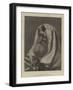 An Askenazim-Carl Haag-Framed Giclee Print