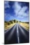 An Asphalt Road Against Tranquil Clouds, Florence, Italy-null-Mounted Photographic Print