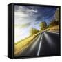 An Asphalt Road at Sunset, Tuscany, Italy-null-Framed Stretched Canvas