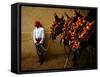 An Assistant of the Spanish Rejoneador Mounted Bullfighter Pablo Hermoso-null-Framed Stretched Canvas