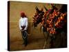 An Assistant of the Spanish Rejoneador Mounted Bullfighter Pablo Hermoso-null-Stretched Canvas