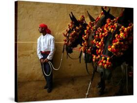 An Assistant of the Spanish Rejoneador Mounted Bullfighter Pablo Hermoso-null-Stretched Canvas