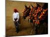 An Assistant of the Spanish Rejoneador Mounted Bullfighter Pablo Hermoso-null-Mounted Premium Photographic Print