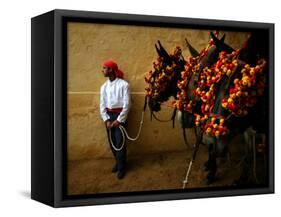 An Assistant of the Spanish Rejoneador Mounted Bullfighter Pablo Hermoso-null-Framed Stretched Canvas