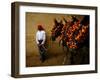 An Assistant of the Spanish Rejoneador Mounted Bullfighter Pablo Hermoso-null-Framed Photographic Print