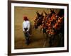 An Assistant of the Spanish Rejoneador Mounted Bullfighter Pablo Hermoso-null-Framed Photographic Print