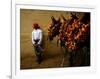 An Assistant of the Spanish Rejoneador Mounted Bullfighter Pablo Hermoso-null-Framed Photographic Print