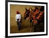 An Assistant of the Spanish Rejoneador Mounted Bullfighter Pablo Hermoso-null-Framed Photographic Print