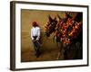 An Assistant of the Spanish Rejoneador Mounted Bullfighter Pablo Hermoso-null-Framed Photographic Print